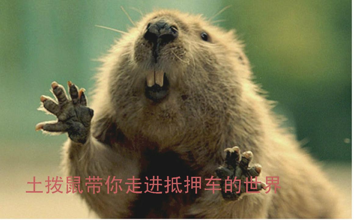 车大本不在怎么做贷款(用车大本贷款安全吗)? (http://m.qacrysj.cn/) 知识问答 第1张