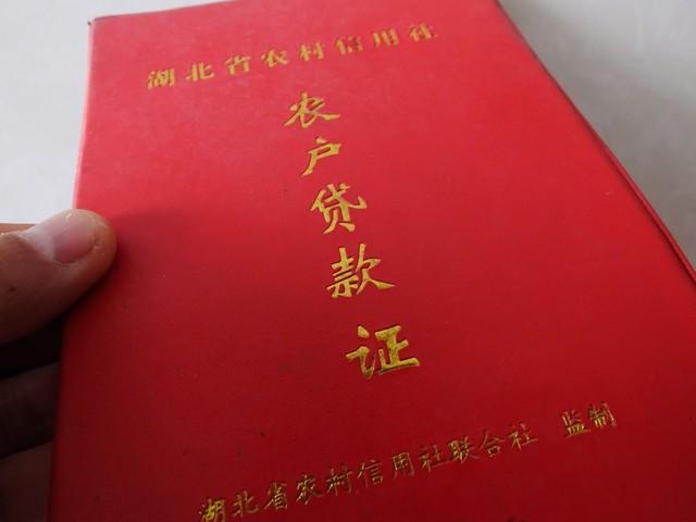 车子想贷款怎么贷(车贷款好了怎么办手续)? (http://m.qacrysj.cn/) 知识问答 第1张