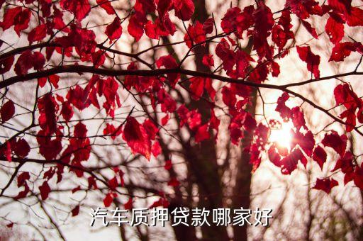车子绿本抵押贷款平台(车抵押绿本贷款有什么套路)? (http://m.qacrysj.cn/) 知识问答 第3张