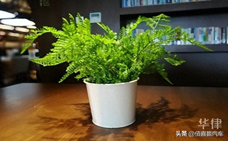 押车借钱需要啥手续(押车贷款需要什么资料)? (http://m.qacrysj.cn/) 知识问答 第1张