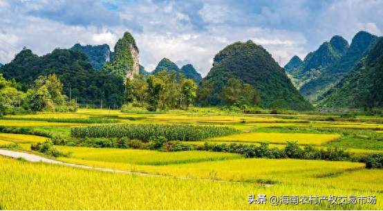 车辆抵押融资(土地违规抵押融资整改)? (http://m.qacrysj.cn/) 知识问答 第2张