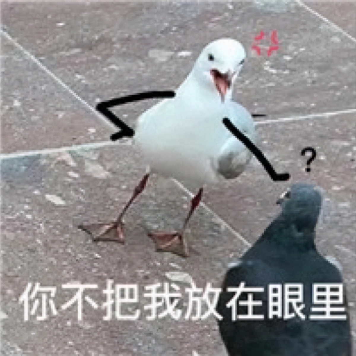 不押车不看征信贷款(押车贷款看征信吗)? (http://m.qacrysj.cn/) 知识问答 第1张