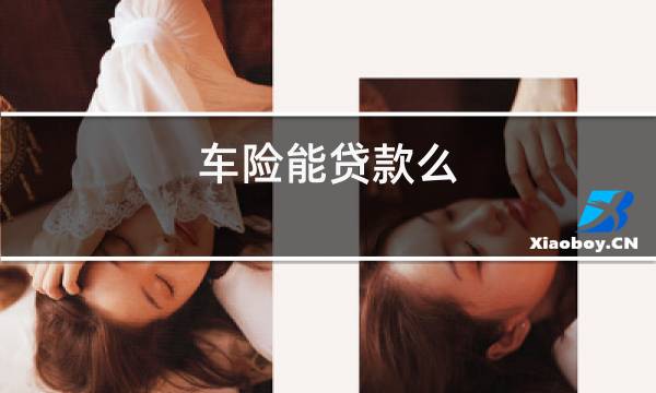 车险能贷款吗(贷款车险第二年怎么买)? (http://m.qacrysj.cn/) 知识问答 第1张