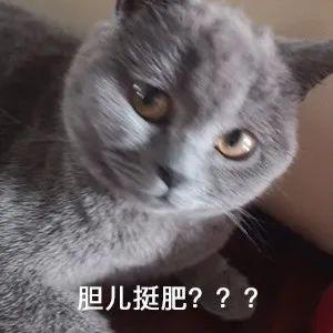 闵行区那里有车子抵押贷款的(上海汽车抵押贷)? (http://m.qacrysj.cn/) 知识问答 第1张