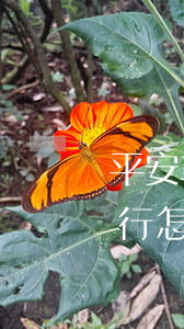 平安车主贷款怎么贷需要什么条件(平安车主贷要去银行弄吗)? (http://m.qacrysj.cn/) 知识问答 第2张