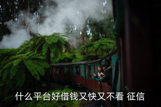 不查征信的网贷(网贷征信查多了多久能恢复)? (http://m.qacrysj.cn/) 知识问答 第1张