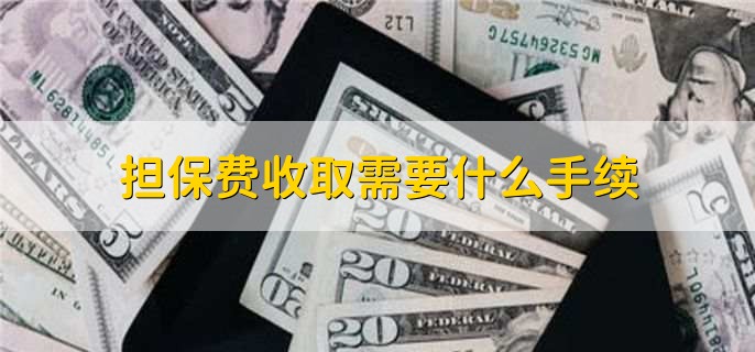 贷款担保公司一般怎么收费(担保公司贷款服务费收取标准)? (http://m.qacrysj.cn/) 知识问答 第2张