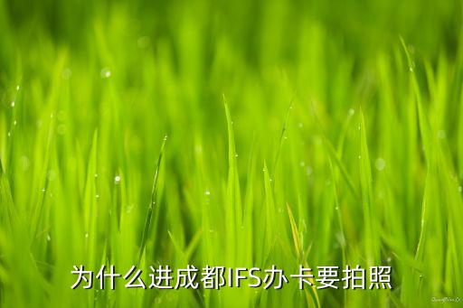 行驶证不是我的名字可以贷款吗(车贷行驶证名字不是自己的)? (http://m.qacrysj.cn/) 知识问答 第2张