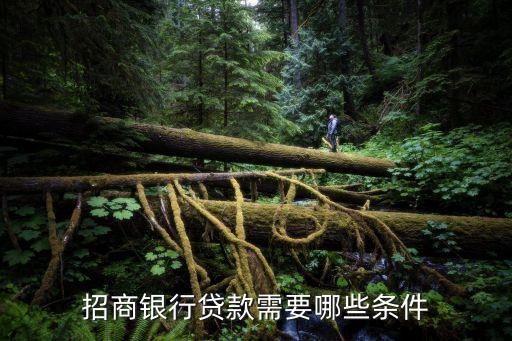 行驶证贷款(机动车行驶证贷款)? (http://m.qacrysj.cn/) 知识问答 第2张