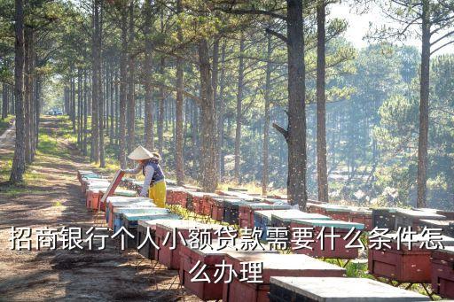 行驶证贷款(机动车行驶证贷款)? (http://m.qacrysj.cn/) 知识问答 第3张