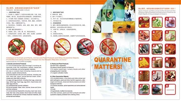 沪牌可以贷款吗(贷款沪牌可以买车吗)? (http://m.qacrysj.cn/) 知识问答 第17张