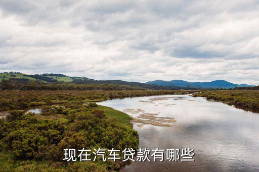 上海车辆贷款公司(上海汽车贷款公司业务)? (http://m.qacrysj.cn/) 知识问答 第3张
