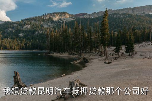 上海车子抵押贷款哪里可以做(上海的抵押车能买吗)? (http://m.qacrysj.cn/) 知识问答 第2张