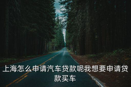 上海车牌贷款怎样申请(上海车牌贷款申请了能取消吗)? (http://m.qacrysj.cn/) 知识问答 第1张