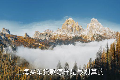上海车牌贷款怎样申请(上海车牌贷款申请了能取消吗)? (http://m.qacrysj.cn/) 知识问答 第2张