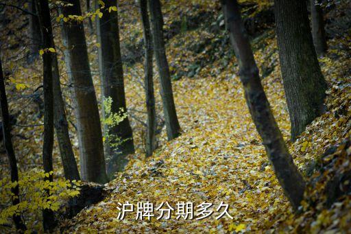 沪牌贷款(沪牌贷款合算吗)? (http://m.qacrysj.cn/) 知识问答 第2张