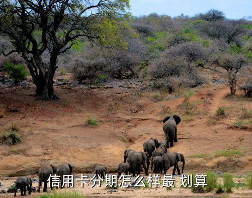 沪牌贷款(沪牌贷款合算吗)? (http://m.qacrysj.cn/) 知识问答 第3张