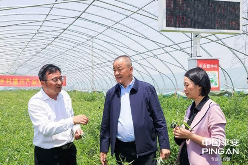平安普惠(普惠平安保险)? (http://m.qacrysj.cn/) 知识问答 第22张