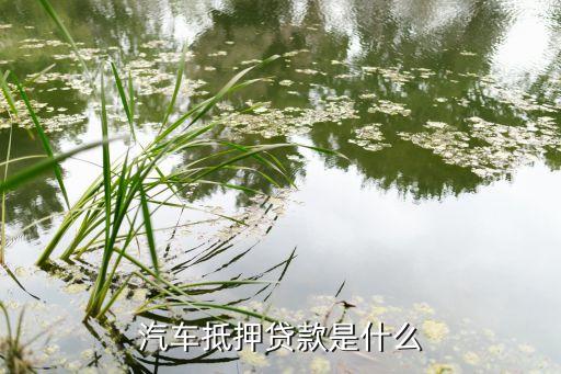 营运车辆可以抵押贷款吗(抵押营运贷款车辆可以过户吗)? (http://m.qacrysj.cn/) 知识问答 第2张