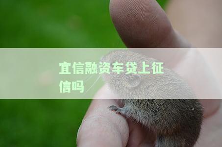 易车贷(易车贷)? (http://m.qacrysj.cn/) 知识问答 第1张