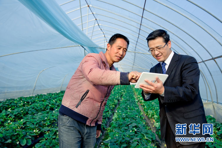 车抵贷不看征信哪几家好(汽车抵押贷款征信)? (http://m.qacrysj.cn/) 知识问答 第1张
