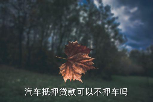 车辆抵押贷款哪个平台利息最低(专业汽车抵押贷款利息低)? (http://m.qacrysj.cn/) 知识问答 第2张