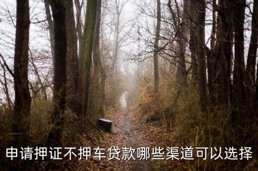 车子抵押贷款不押车(抵押车贷款风险大吗)? (http://m.qacrysj.cn/) 知识问答 第3张