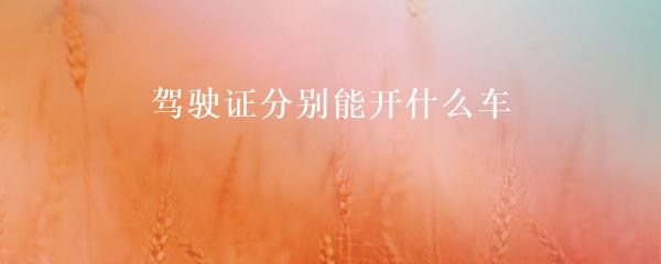 民间贷款公司(民间借贷的公司)? (http://m.qacrysj.cn/) 知识问答 第3张