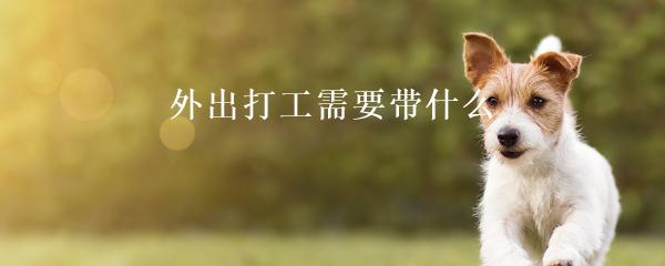 民间贷款公司(民间借贷的公司)? (http://m.qacrysj.cn/) 知识问答 第21张
