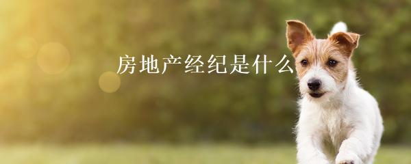 民间贷款公司(民间借贷的公司)? (http://m.qacrysj.cn/) 知识问答 第22张