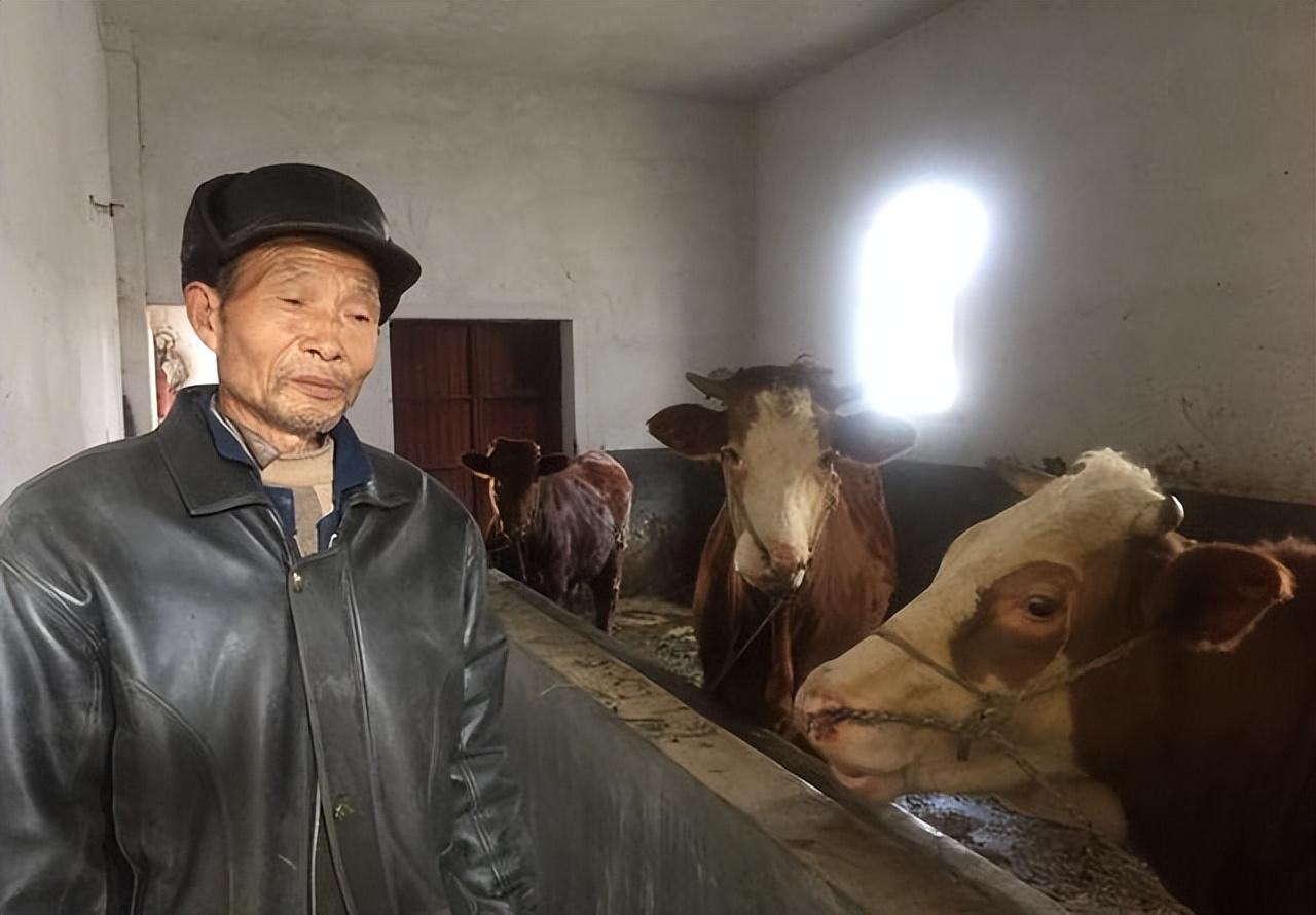 普通人怎么贷款5万(如何贷款20万普通人)? (http://m.qacrysj.cn/) 知识问答 第2张