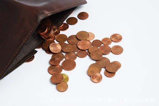 拿车的绿本怎么贷款(贷款车绿本拿到手了该怎么办)? (http://m.qacrysj.cn/) 知识问答 第1张