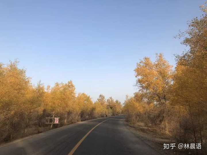 有车就能申请的网贷(有网贷买车贷款能批下来吗)? (http://m.qacrysj.cn/) 知识问答 第1张