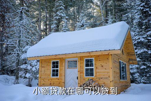 苏州车辆抵押贷款(苏州汽车抵押贷)? (http://m.qacrysj.cn/) 知识问答 第3张