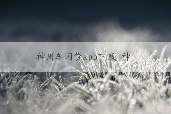 神州车闪贷app(神州闪贷抵押车安全吗)? (http://m.qacrysj.cn/) 知识问答 第1张