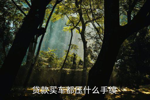 按揭需要抵押机动车登记证吗(按揭车要抵押登记证书)？ (http://m.qacrysj.cn/) 知识问答 第3张